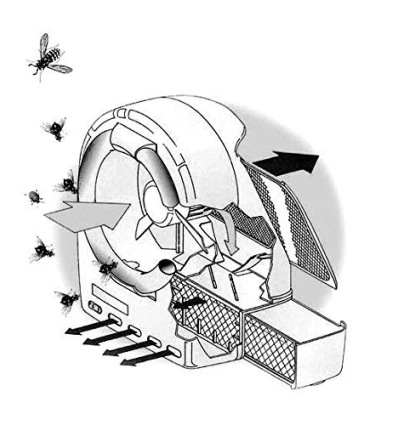 EXTERMINADOR INSECTOS POR ABSORCIÓN