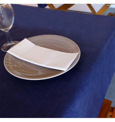 ROLLO MANTEL 1,20 * 50 MTS. NEWTEX AZUL
