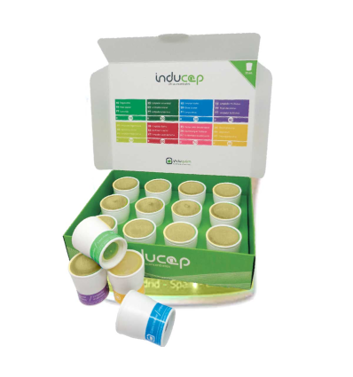 AMIDES INDUCAP DETERG.DESINF 22 ML.* 12 U.